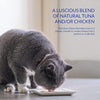 CIAO Bisque Chicken Recipe Cat Wet Pouches 40gx12