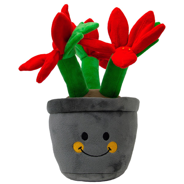 ANCOL HENRIETTA POINSETTIA CHRISTMAS DOG TOY – Ormskirk Pets