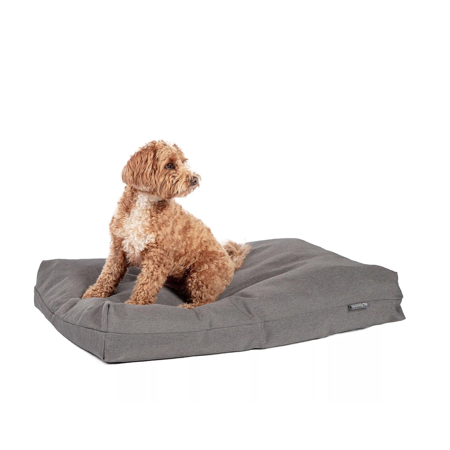 Danish Design Anti-Bacterial Dog Duvet — real product photograph
