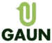 Gaun